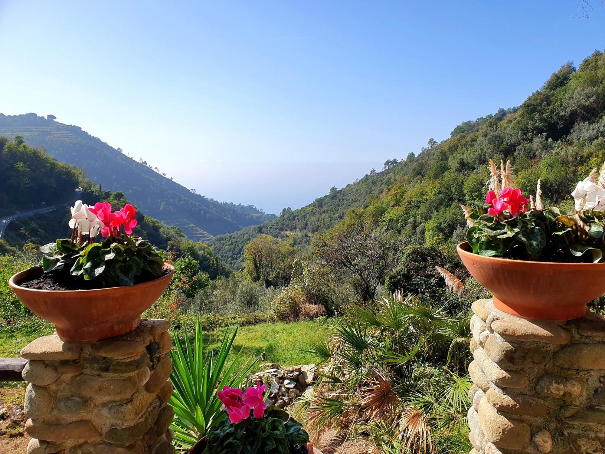 Agriturismo Costa Di Campo Vernazza Exterior photo
