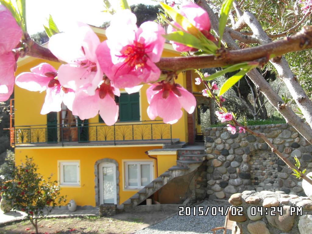 Agriturismo Costa Di Campo Vernazza Exterior photo