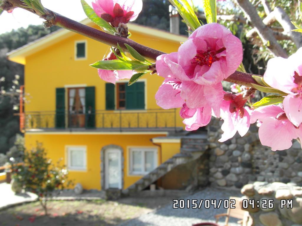 Agriturismo Costa Di Campo Vernazza Exterior photo