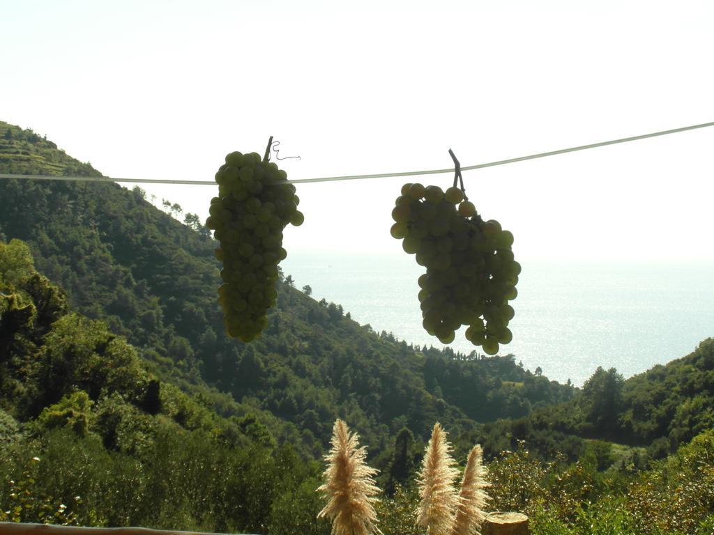Agriturismo Costa Di Campo Vernazza Exterior photo