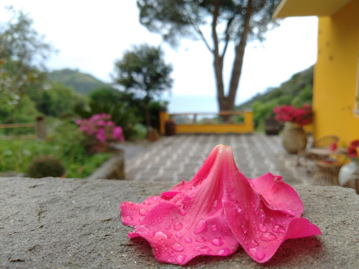 Agriturismo Costa Di Campo Vernazza Exterior photo