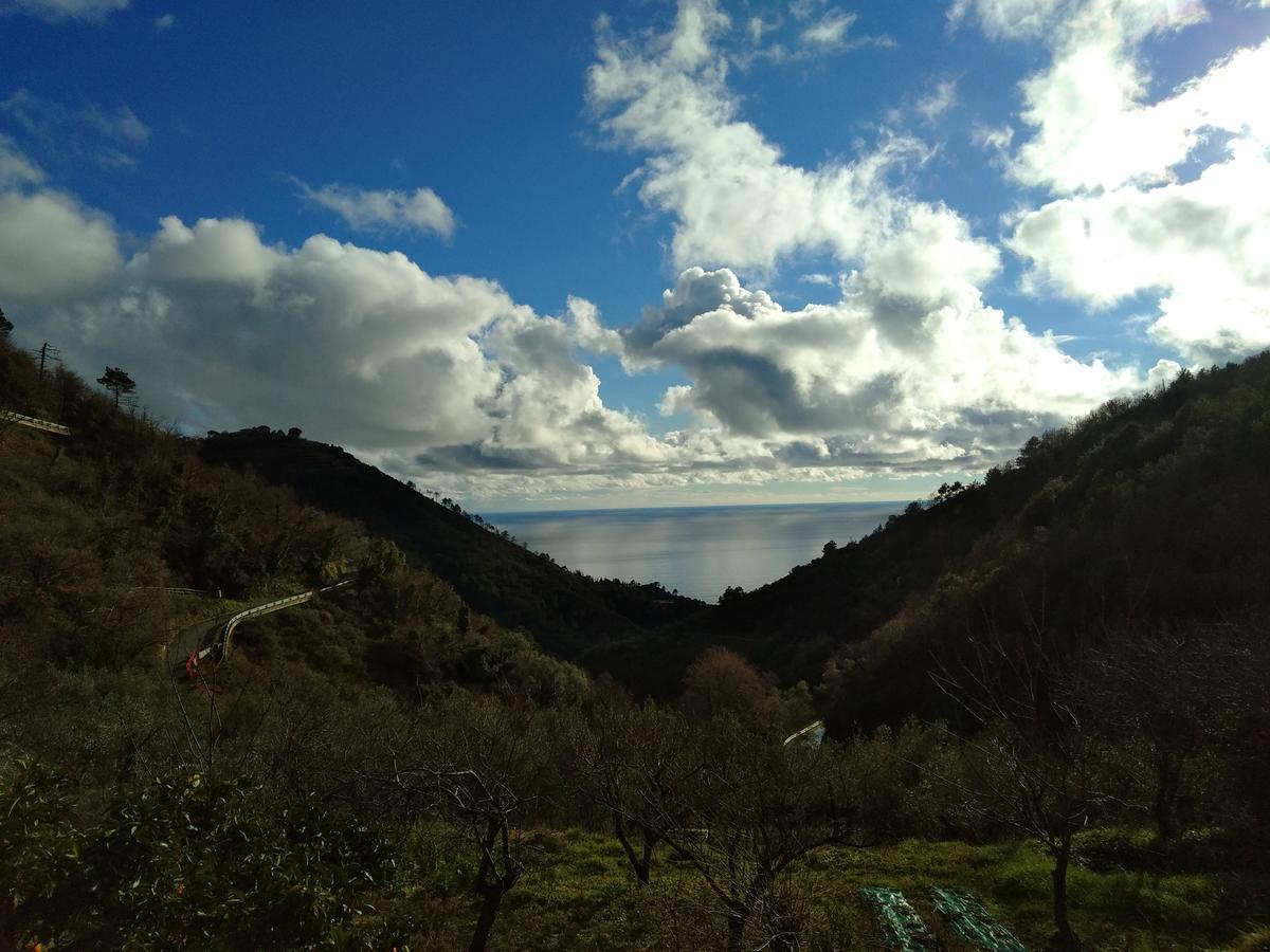 Agriturismo Costa Di Campo Vernazza Exterior photo