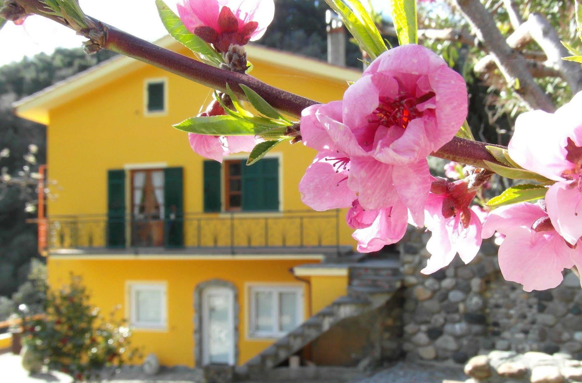 Agriturismo Costa Di Campo Vernazza Exterior photo