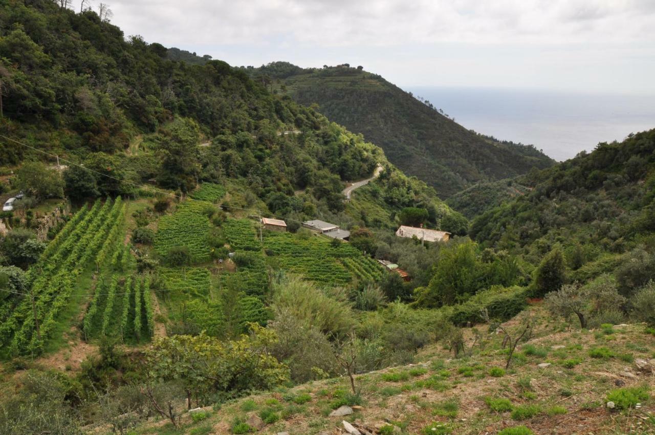 Agriturismo Costa Di Campo Vernazza Exterior photo